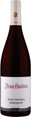 39,95 € Envío gratis | Vino Tinto Jean Stodden Recher Trocken — Seco VDP Ortswein — Vino de Village Q.b.A. Ahr Ahr Alemania Pinot Negro 75 cl