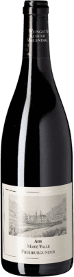 22,95 € 送料無料 | 赤ワイン Kloster Marienthal ドライ Ahr ドイツ Pinot Black ボトル 75 cl
