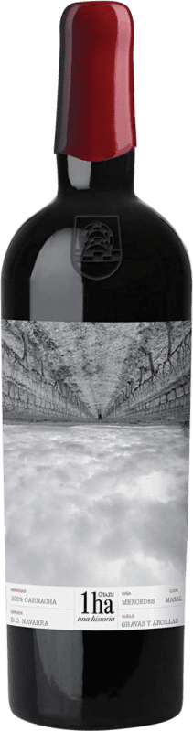 67,95 € Spedizione Gratuita | Vino Rosso Señorío de Otazu 1ha D.O. Navarra Navarra Spagna Garnacha — Grenache Bottiglia 75 cl