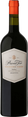 16,95 € Free Shipping | Red Wine Pascual Toso VS Vendimia Seleccionada — Selected Harvest I.G. Mendoza Mendoza Argentina Malbec 75 cl
