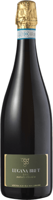 28,95 € 免费送货 | 白起泡酒 Pasini 香槟 D.O.C. Lugana 伦巴第 意大利 Trebbiano di Lugana 瓶子 75 cl
