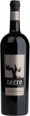 Campo di Sasso Vecchio Vigneto 75 cl