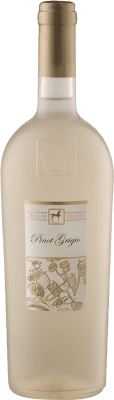 19,95 € Envio grátis | Vinho Branco Tenuta Ulisse Linea Seleção D.O.C. Abruzzo Abruzzo Itália Pinot Cinzento 75 cl