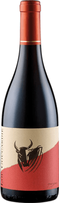 29,95 € Envio grátis | Vinho tinto Domaine Gassier Lou Coucardié Rouge A.O.C. Costières de Nîmes Rhône França Syrah, Grenache, Mourvèdre Garrafa 75 cl