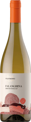 18,95 € Envoi gratuit | Vin Blanc Villa Raiano I.G.T. Beneventano Italie Falanghina 75 cl