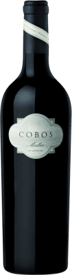 285,95 € 免费送货 | 红酒 Vina Cobos I.G. Mendoza 门多萨 阿根廷 Malbec 瓶子 75 cl