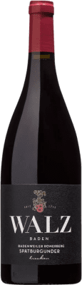 25,95 € Free Shipping | Red wine Walz Maltesergarten Alte Reben I.G. Baden Baden Germany Pinot Black Bottle 75 cl