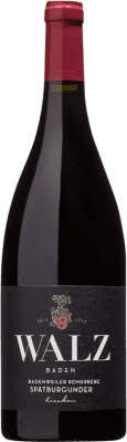 29,95 € Spedizione Gratuita | Vino Rosso Walz Maltesergarten Alte Reben — VV Vigne Vecchie I.G. Baden Baden Germania Pinot Nero 75 cl