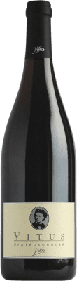 27,95 € Envio grátis | Vinho tinto Joachim Heger Vitus Barrique Seco I.G. Baden Baden Alemanha Pinot Preto Garrafa 75 cl