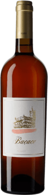 66,95 € Kostenloser Versand | Rosé-Wein Alexandre Almeida Niepoort Buçaco Rosado D.O.C. Bairrada Dão Portugal Baga Flasche 75 cl
