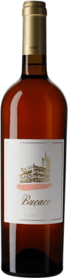 69,95 € Free Shipping | Rosé wine Alexandre Almeida Niepoort Buçaco Rosado D.O.C. Bairrada Dão Portugal Baga Bottle 75 cl