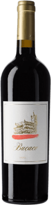 66,95 € Бесплатная доставка | Красное вино Alexandre Almeida Niepoort Buçaco D.O.C. Bairrada Дау Португалия Baga бутылка 75 cl