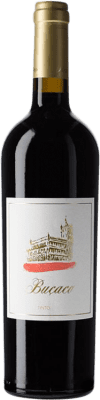 69,95 € Free Shipping | Red wine Alexandre Almeida Niepoort Buçaco D.O.C. Bairrada Dão Portugal Baga Bottle 75 cl