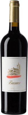69,95 € Spedizione Gratuita | Vino Rosso Alexandre Almeida Niepoort Buçaco D.O.C. Bairrada Dão Portogallo Baga 75 cl