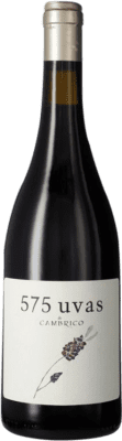 25,95 € Free Shipping | Red wine Cámbrico 575 Uvas I.G.P. Vino de la Tierra de Castilla y León Castilla la Mancha Spain Tempranillo, Grenache, Rufete Bottle 75 cl