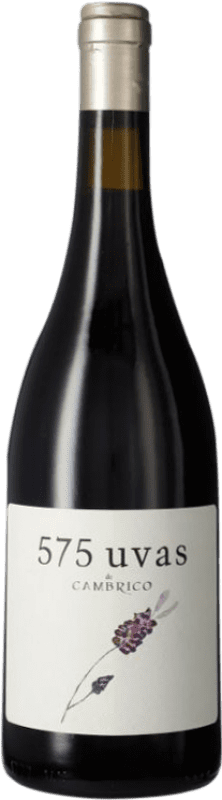 25,95 € Бесплатная доставка | Красное вино Cámbrico 575 Uvas I.G.P. Vino de la Tierra de Castilla y León Кастилья-Ла-Манча Испания Tempranillo, Grenache, Rufete бутылка 75 cl