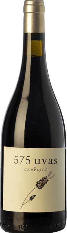 31,95 € Envoi gratuit | Vin Rouge Cámbrico 575 Uvas Crianza I.G.P. Vino de la Tierra de Castilla y León Castilla La Mancha Espagne Tempranillo, Garnacha — Grenache, Rufete Eco — Biologique Bouteille 75 cl