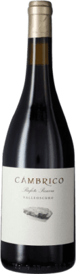 64,95 € Spedizione Gratuita | Vino rosso Cámbrico Pizarra I.G.P. Vino de la Tierra de Castilla y León Castilla-La Mancha Spagna Rufete Bottiglia 75 cl