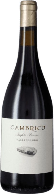64,95 € Free Shipping | Red wine Cámbrico Pizarra I.G.P. Vino de la Tierra de Castilla y León Castilla la Mancha Spain Rufete Bottle 75 cl