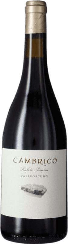 52,95 € Envío gratis | Vino Tinto Cámbrico Pizarra I.G.P. Vino de la Tierra de Castilla y León Castilla la Mancha España Rufete 75 cl