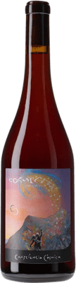 28,95 € Spedizione Gratuita | Vino rosso Còsmic Consciència Còsmica D.O. Empordà Catalogna Spagna Carignan Bottiglia 75 cl