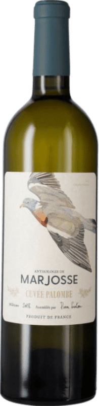 34,95 € Envio grátis | Vinho branco Château Marjosse Cuvée Palombe França Sauvignon Branca, Sémillon, Sauvignon Cinza Garrafa 75 cl