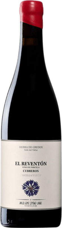 191,95 € Бесплатная доставка | Красное вино Landi El Reventón I.G.P. Vino de la Tierra de Castilla y León Кастилья-Ла-Манча Испания Grenache бутылка 75 cl