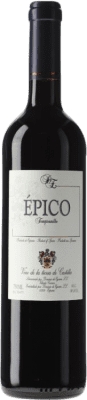7,95 € Envío gratis | Vino tinto Dominio de Eguren Épico Castilla la Mancha España Botella 75 cl