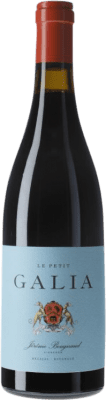 28,95 € Бесплатная доставка | Красное вино El Regajal Galia Le Petit I.G.P. Vino de la Tierra de Castilla y León Кастилья-Ла-Манча Испания Tempranillo, Grenache бутылка 75 cl