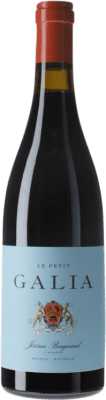 29,95 € Envío gratis | Vino tinto El Regajal Galia Le Petit I.G.P. Vino de la Tierra de Castilla y León Castilla la Mancha España Tempranillo, Garnacha Botella 75 cl