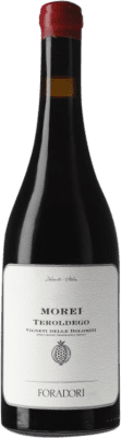 49,95 € Free Shipping | Red wine Foradori Morei Ánfora I.G.T. Vigneti delle Dolomiti Italy Bottle 75 cl