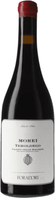 47,95 € Envoi gratuit | Vin rouge Foradori Morei Ánfora I.G.T. Vigneti delle Dolomiti Italie Bouteille 75 cl