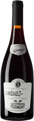 29,95 € Envío gratis | Vino tinto Garage Wine The Soothsayer's Ferment I.G. Valle del Maule Valle del Maule Chile Cinsault Botella 75 cl