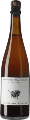 19,95 € Envío gratis | Cerveza Romane Mousses Sauvages Borgoña Francia Pinot Negro Botella 75 cl