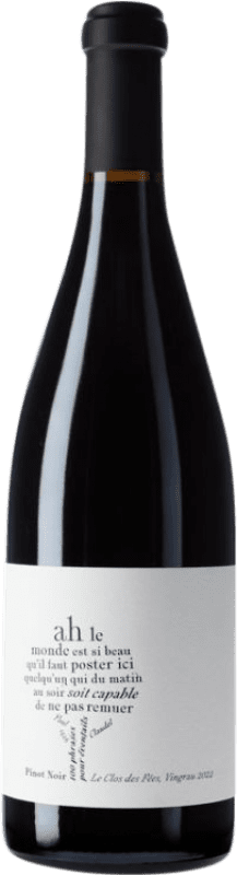475,95 € Бесплатная доставка | Красное вино Le Clos des Fées Jean-Yves Bizot 100 Phrases pour Éventails I.G.P. Vin de Pays Côtes Catalanes Лангедок-Руссильон Франция Pinot Black бутылка 75 cl
