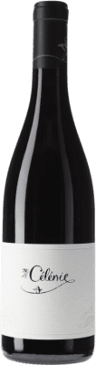 52,95 € Envio grátis | Vinho tinto Les Terres de Philéandre Sans Soufre A.O.C. Côte de Nuits Borgonha França Pinot Preto Garrafa 75 cl