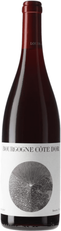 33,95 € Spedizione Gratuita | Vino Rosso Louis Jadot A.O.C. Bourgogne Côte d'Or Borgogna Francia Pinot Nero 75 cl
