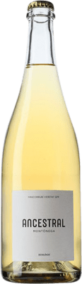 15,95 € Free Shipping | White Sparkling Wine Mascorrubí La Teulera Ancestral Catalonia Spain Parellada 75 cl