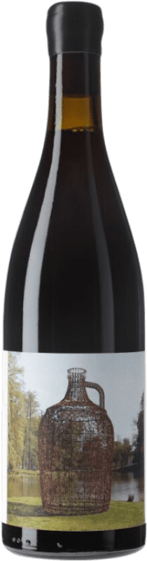 62,95 € Spedizione Gratuita | Vino Rosso Matador Joana Vasconcelos D.O. Valencia Comunità Valenciana Spagna 75 cl