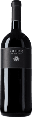 69,95 € Spedizione Gratuita | Vino rosso Sei Solo Preludio D.O. Ribera del Duero Castilla-La Mancha Spagna Tempranillo Bottiglia Magnum 1,5 L