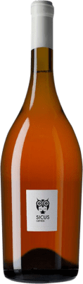 53,95 € Kostenloser Versand | Weißwein Sicus Ánfora — Amphore D.O. Penedès Katalonien Spanien Xarel·lo Magnumflasche 1,5 L