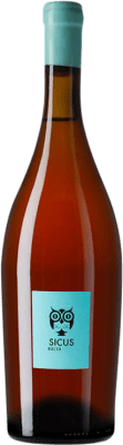 29,95 € 免费送货 | 白葡萄酒 Sicus Ánfora — 双耳陶罐 D.O. Penedès 加泰罗尼亚 西班牙 Malvasia — 玛尔瓦西亚 75 cl