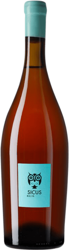 29,95 € Free Shipping | White Wine Sicus Àmfora D.O. Penedès Catalonia Spain Malvasia Bottle 75 cl
