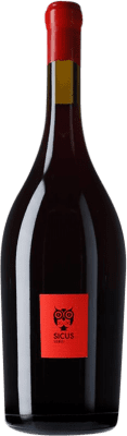 55,95 € 送料無料 | 赤ワイン Sicus Àmfora D.O. Penedès カタロニア スペイン Sumoll マグナムボトル 1,5 L