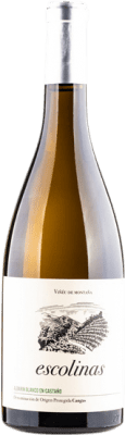 33,95 € Envío gratis | Vino blanco Escolinas Castaño Blanco D.O.P. Vino de Calidad de Cangas Principado de Asturias España Albarín Botella 75 cl