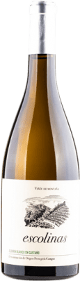 33,95 € Kostenloser Versand | Weißwein Escolinas Castaño Blanco D.O.P. Vino de Calidad de Cangas Fürstentum Asturien Spanien Albarín Flasche 75 cl