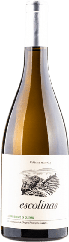 33,95 € Spedizione Gratuita | Vino bianco Escolinas Castaño Blanco D.O.P. Vino de Calidad de Cangas Principato delle Asturie Spagna Albarín Bottiglia 75 cl
