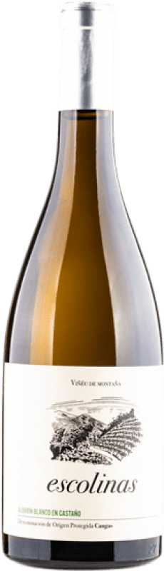 27,95 € Kostenloser Versand | Weißwein Escolinas Castaño D.O.P. Vino de Calidad de Cangas Fürstentum Asturien Spanien Albarín Flasche 75 cl