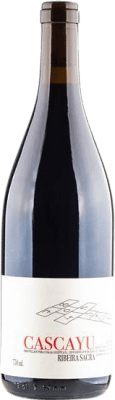 16,95 € Envoi gratuit | Vin rouge Dominio do Bibei Cascayu D.O. Ribeira Sacra Galice Espagne Mencía, Mouratón, Sousón, Brancellao Bouteille 75 cl