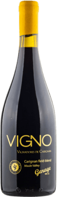 39,95 € Spedizione Gratuita | Vino rosso Garage Wine I.G. Valle del Maule Valle del Maule Chile Carignan Bottiglia 75 cl